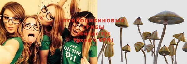 соль курить ск Арсеньев