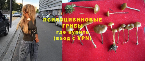 соль курить ск Арсеньев