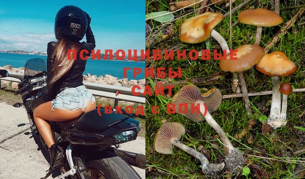 соль курить ск Арсеньев